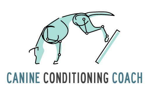 Easy Canine Conditioning and Fitness — McSquare Doodles