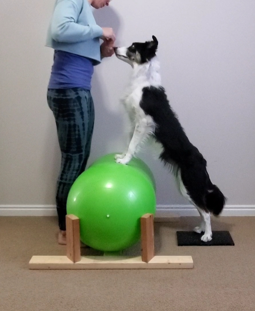 https://canineconditioningcoach.com/wp-content/uploads/2021/09/Hot-Rod-canine-fitness-rehab.png