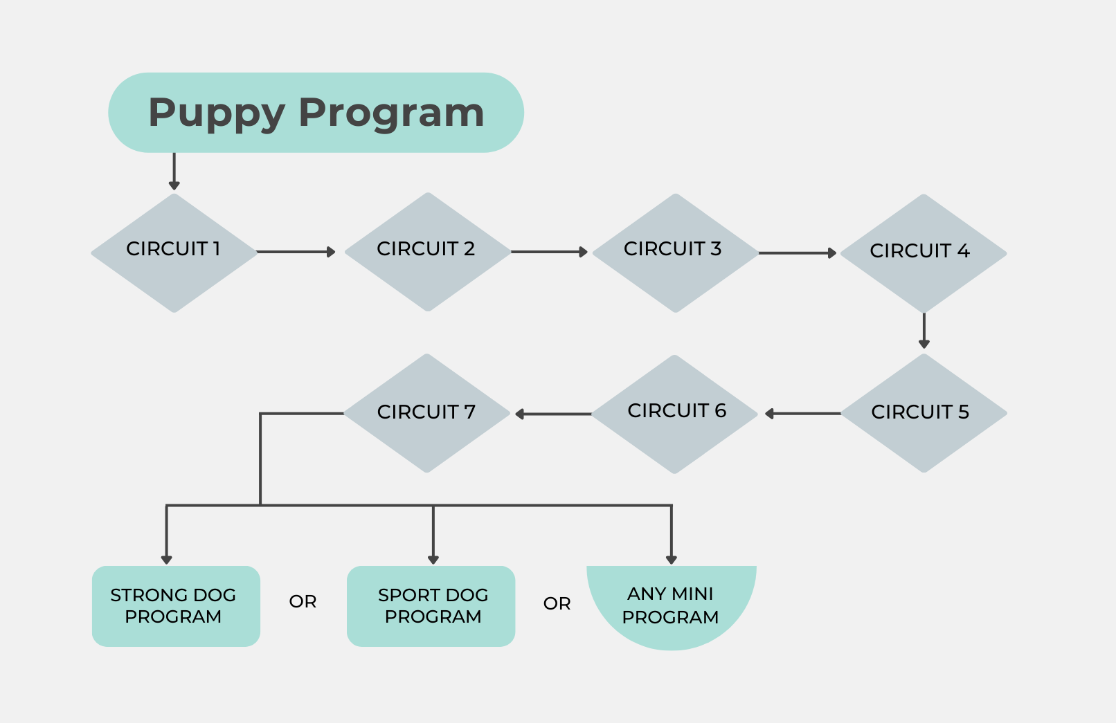 Map showing the path through the Puppy Program