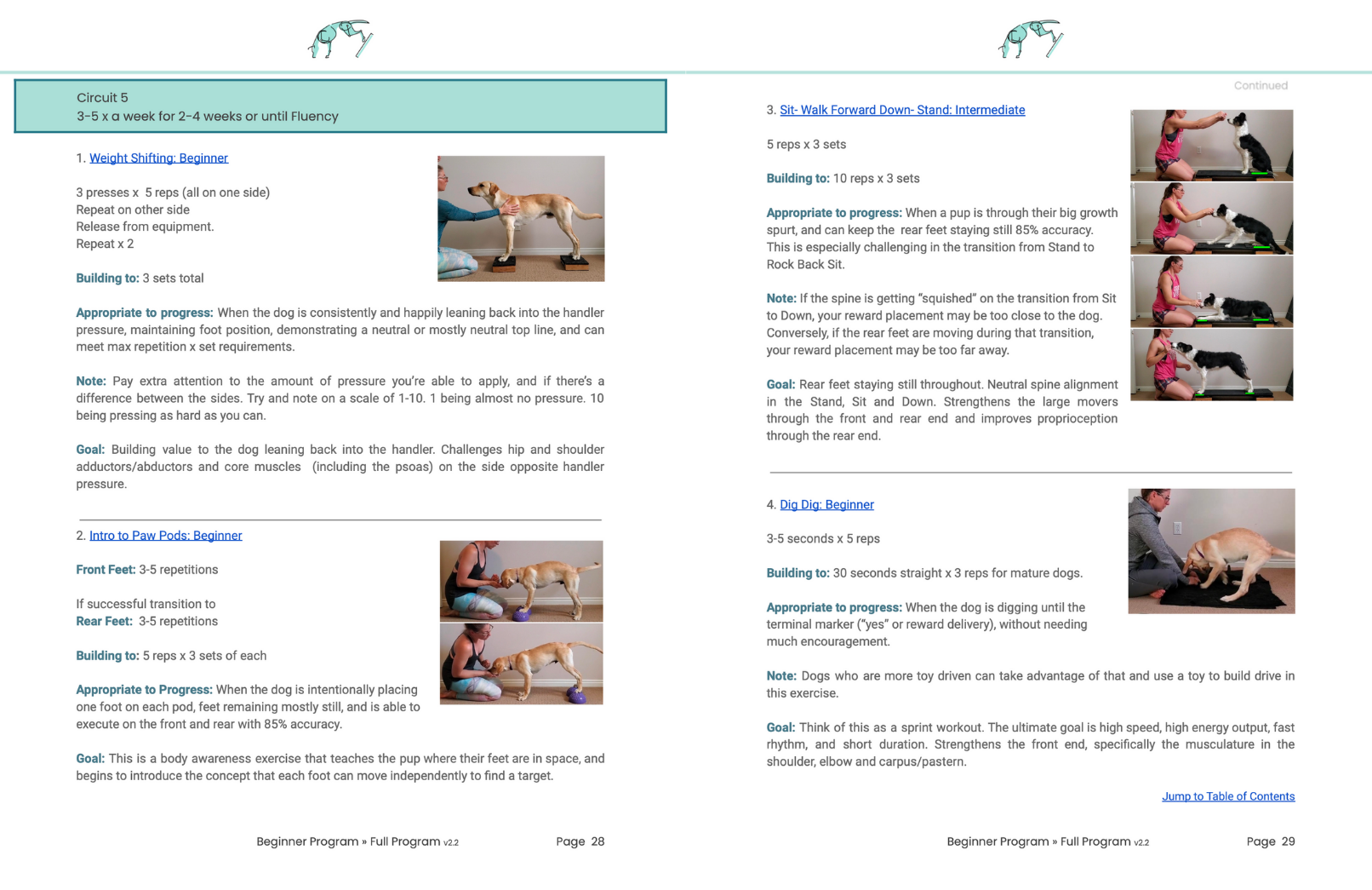 Example of the Beginner Program PDF