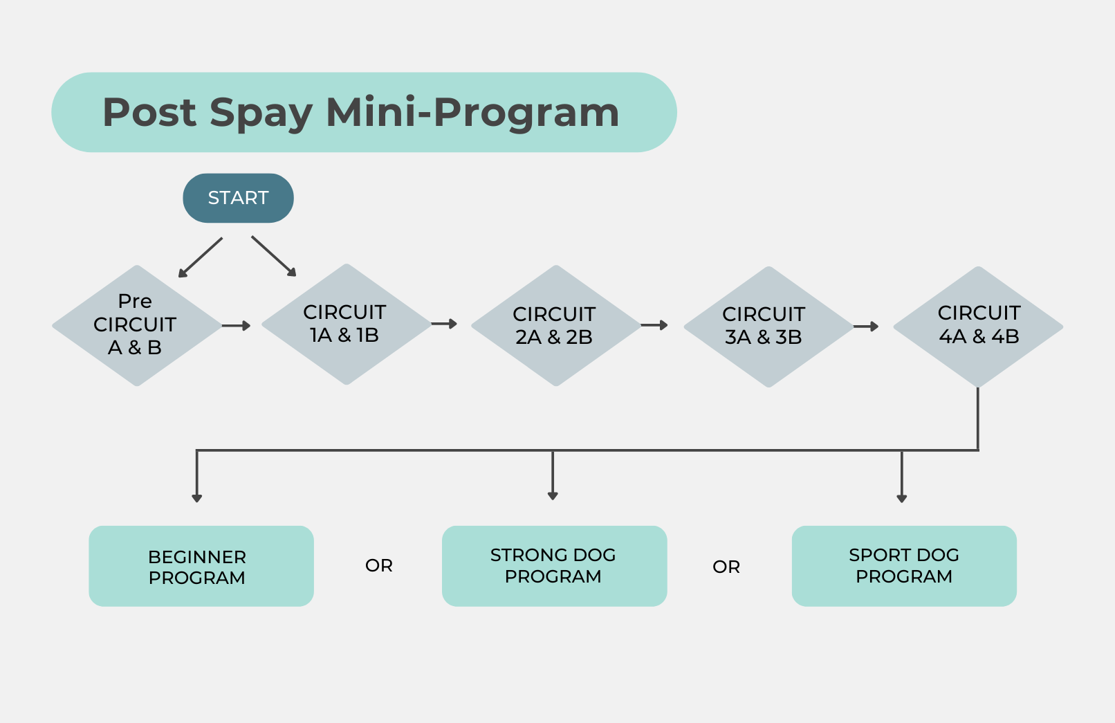 Map showing the circuit progression through the Post Spay Mini-Program