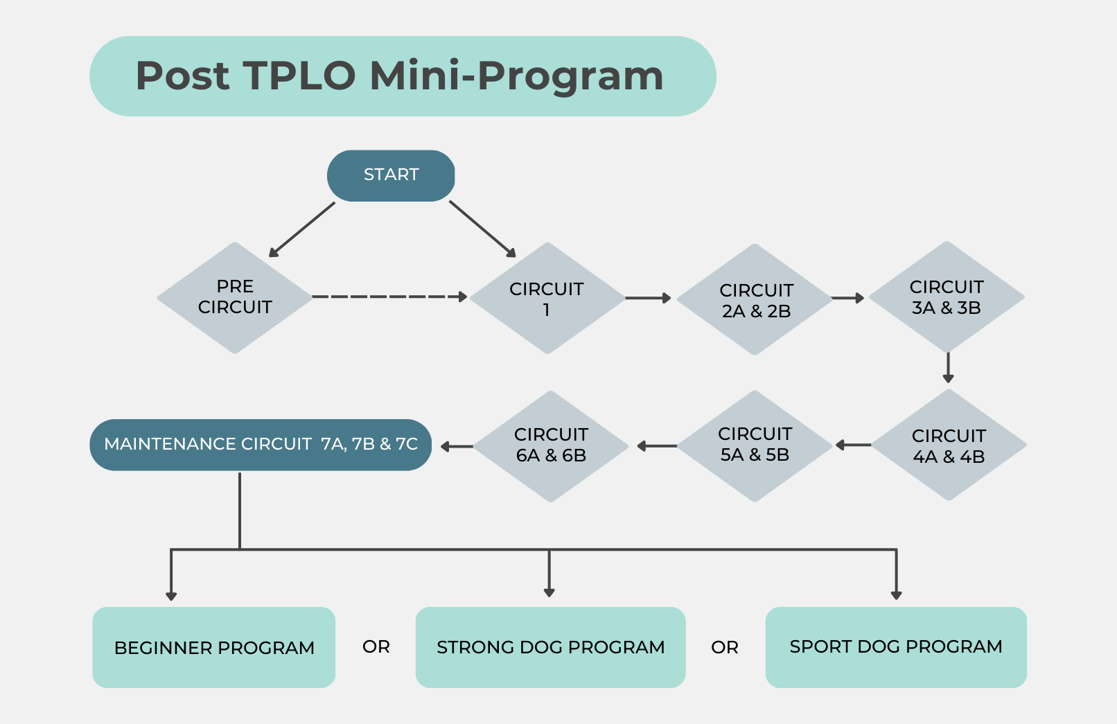 Map showing the circuit progression through the Post TPLO Mini-Program