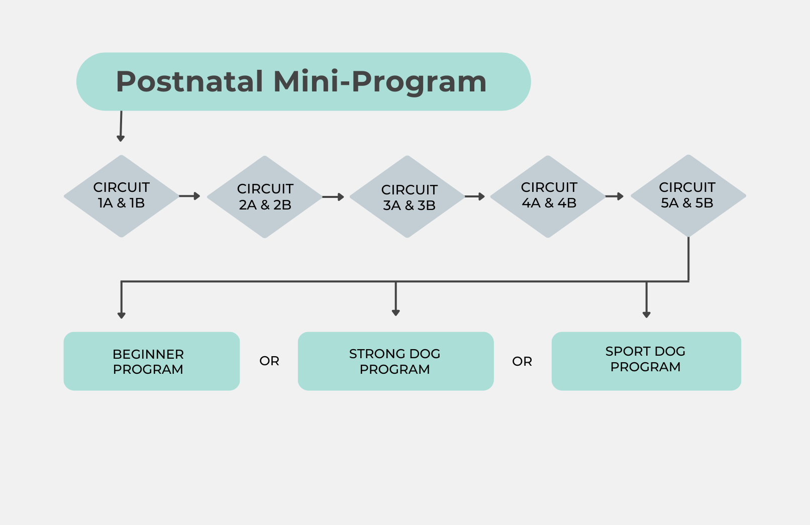 Map showing the circuit progression through the Postnatal Mini-Program