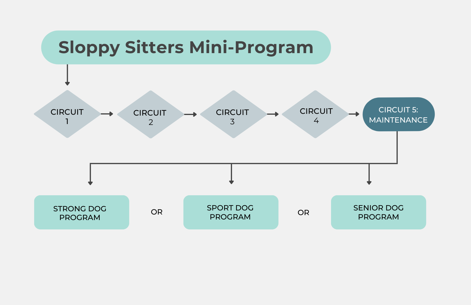 Map showing the circuit progression through the Sloppy Sitters Mini-Program