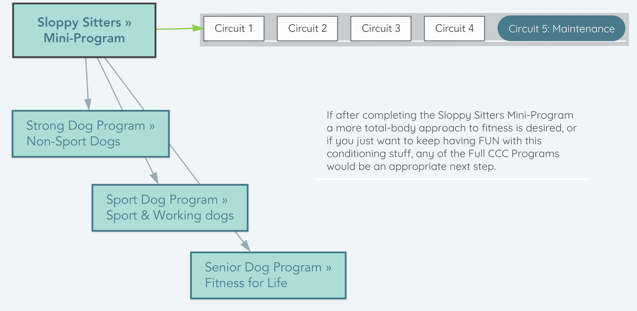 Graphic showing the progression through the Sloppy Sitters Mini-Program