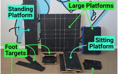 Platforms in Canine Fitness: Part 1