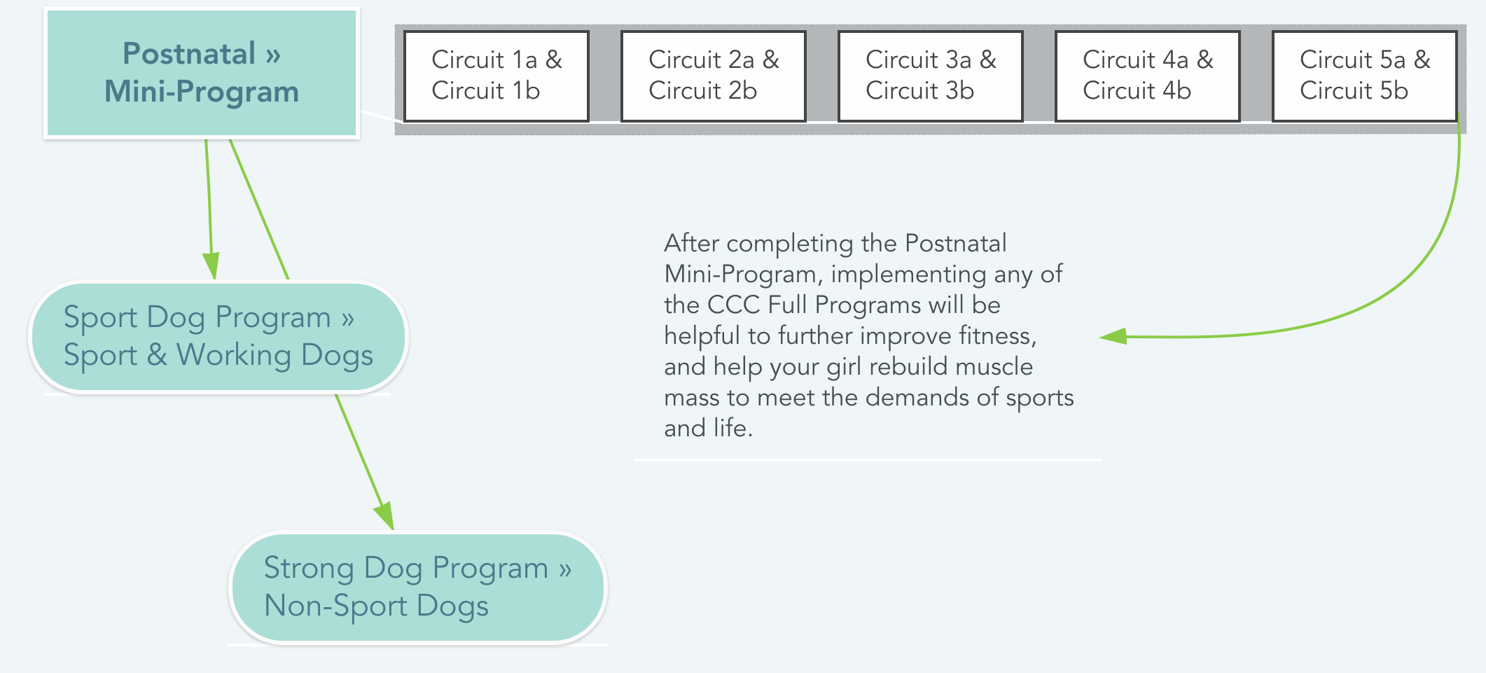 Graphic showing the progression through the Postnatal Mini-Program