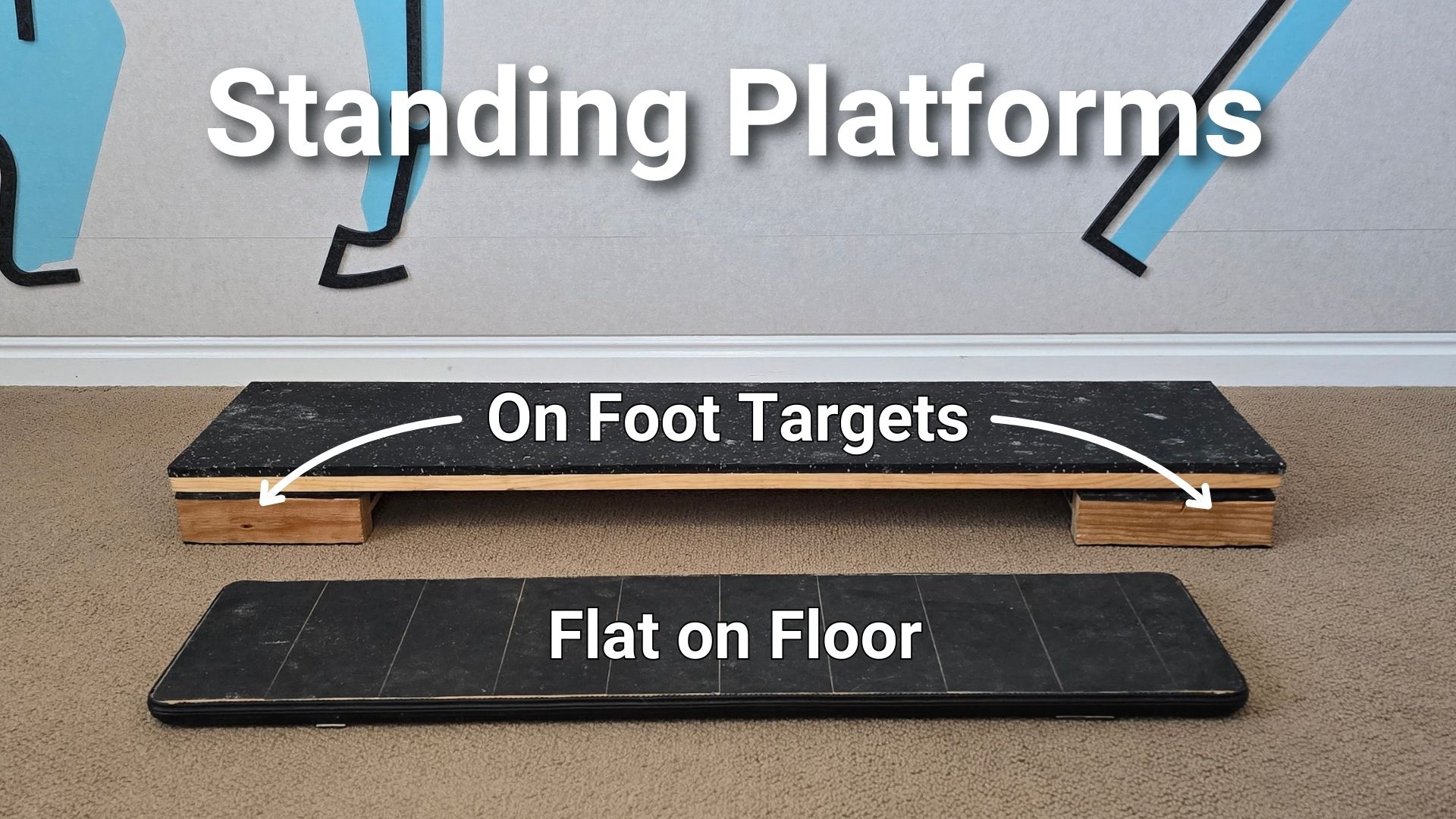 Image showing Standing Platforms used in Canine fitness exercises