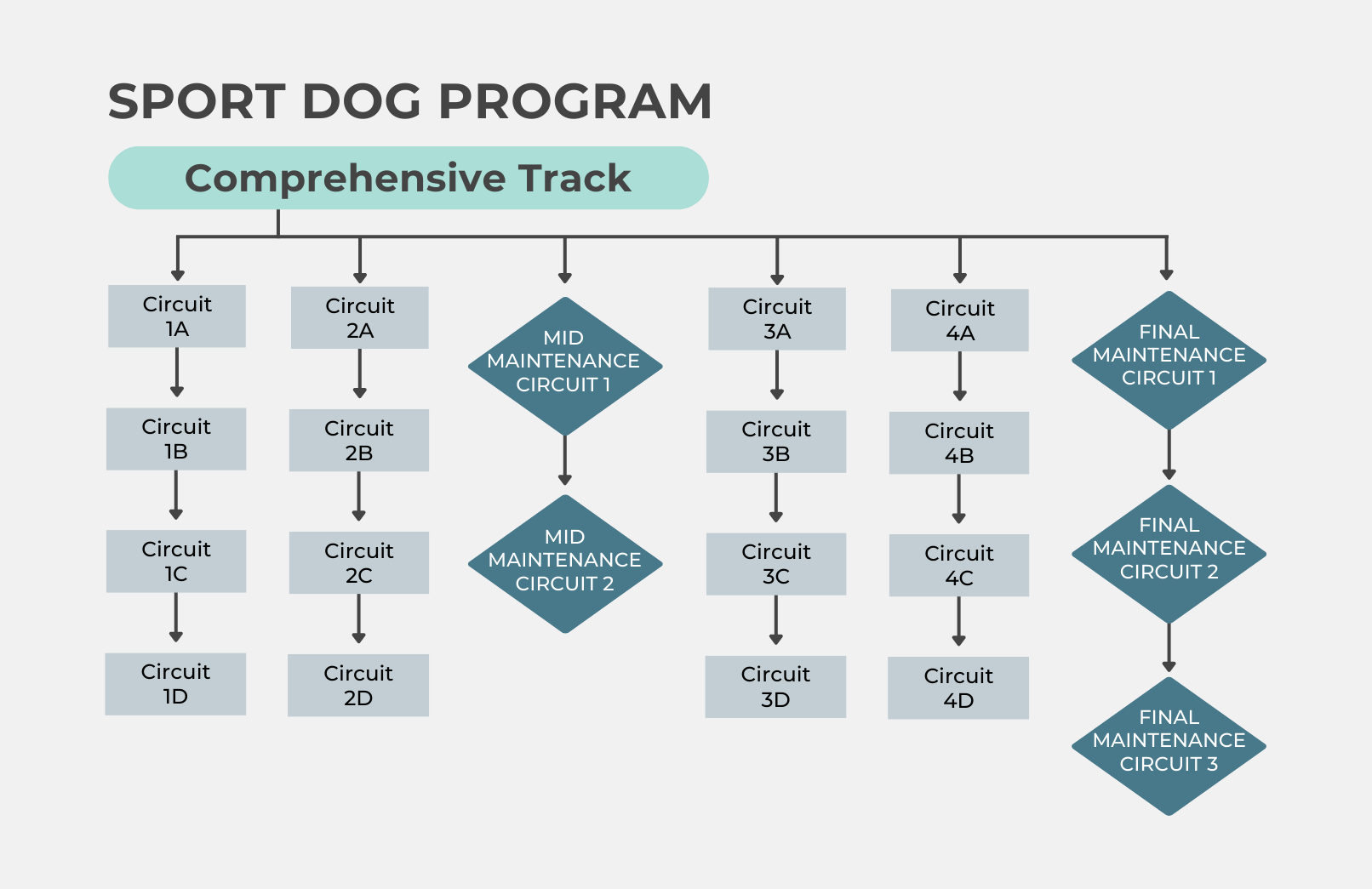 Map showing the circuit progression through the Post TPLO Mini-Program