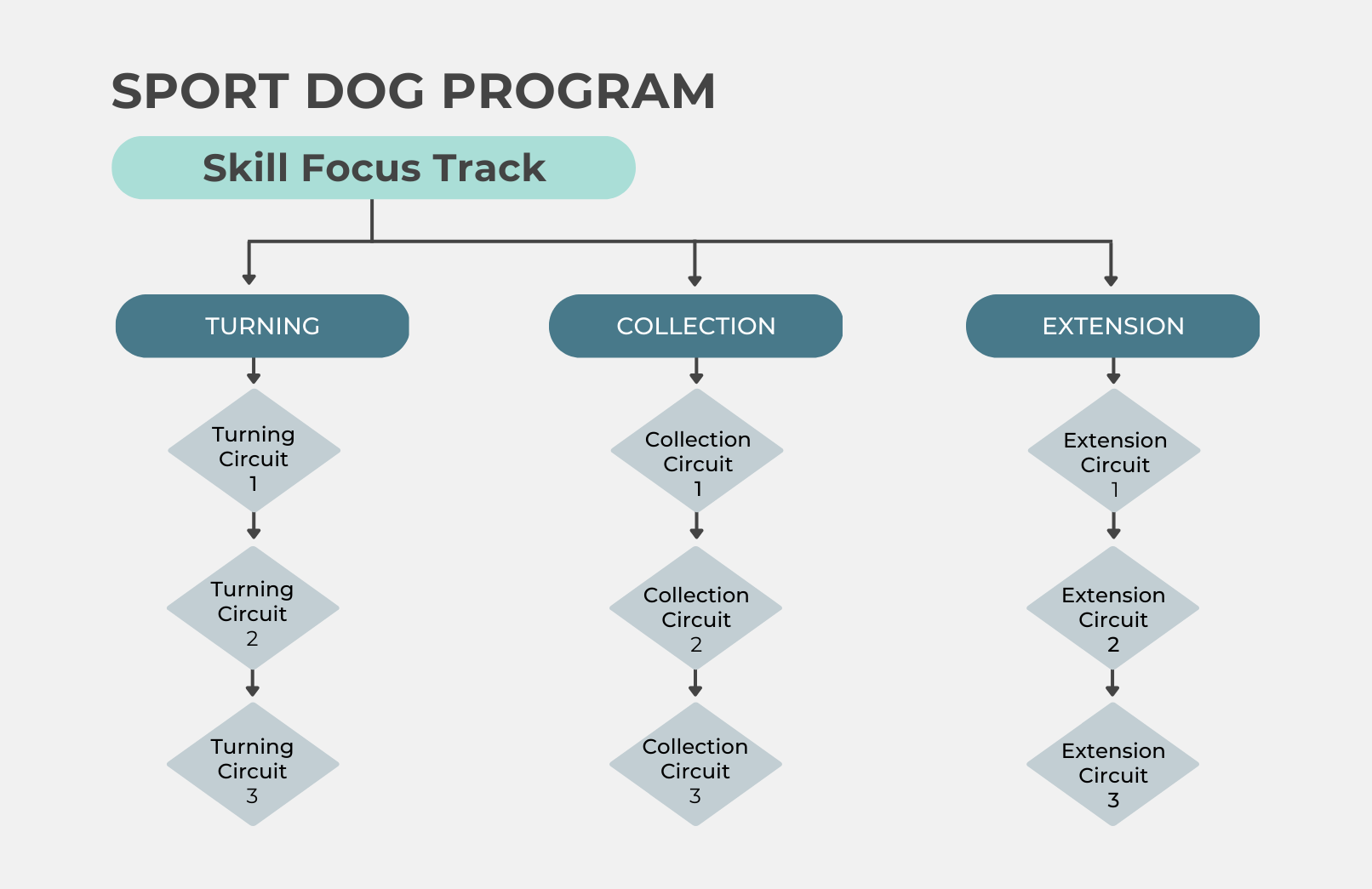 Map showing the circuit progression through the Post TPLO Mini-Program