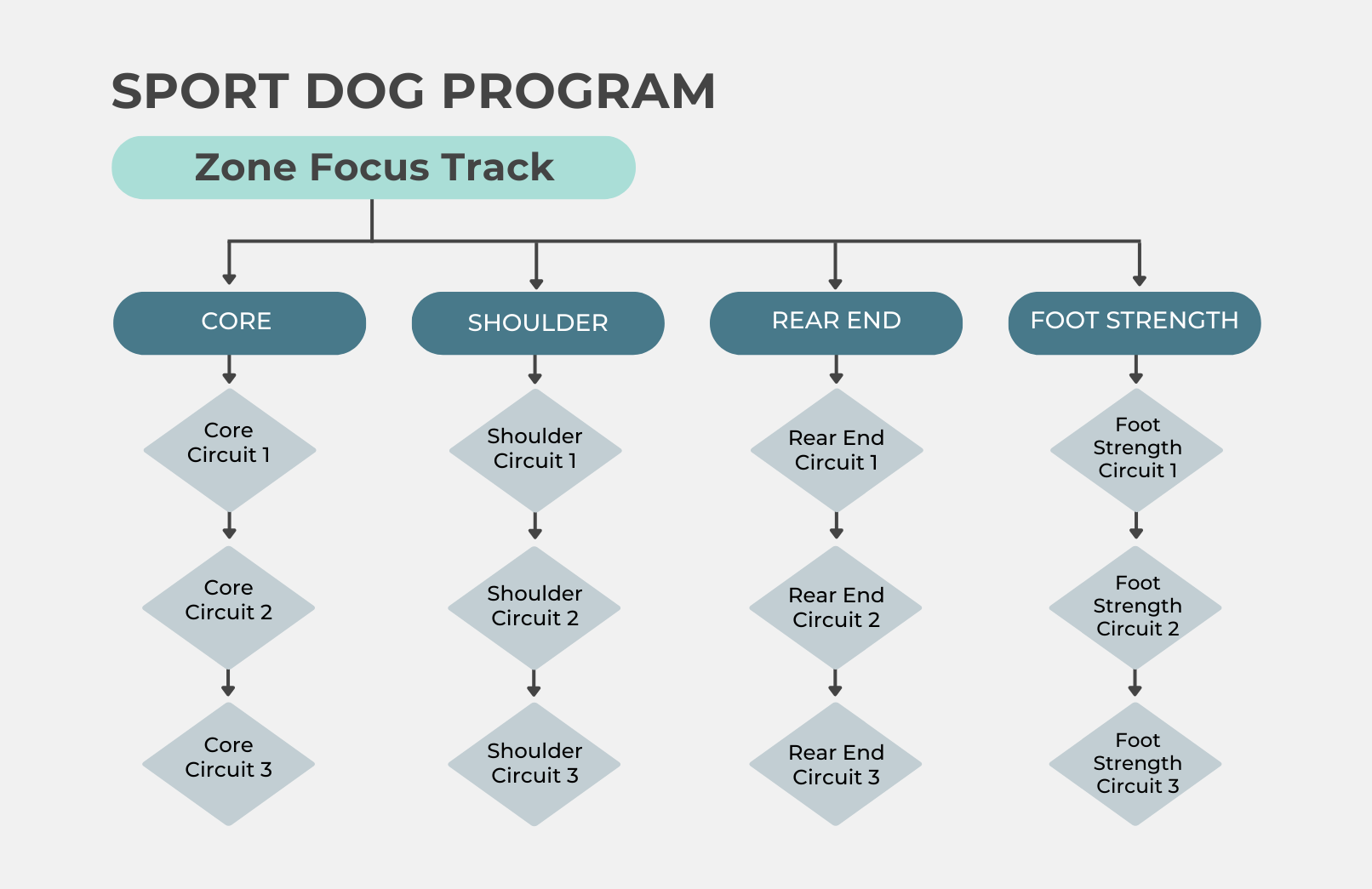 Map showing the circuit progression through the Post TPLO Mini-Program