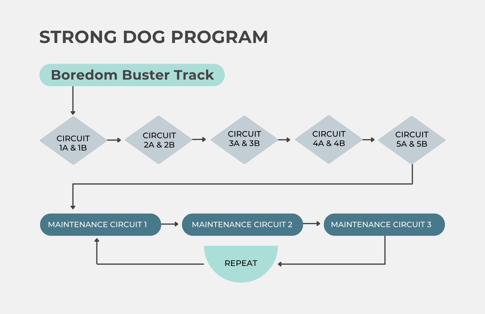 Map showing the circuit progression through the Post TPLO Mini-Program