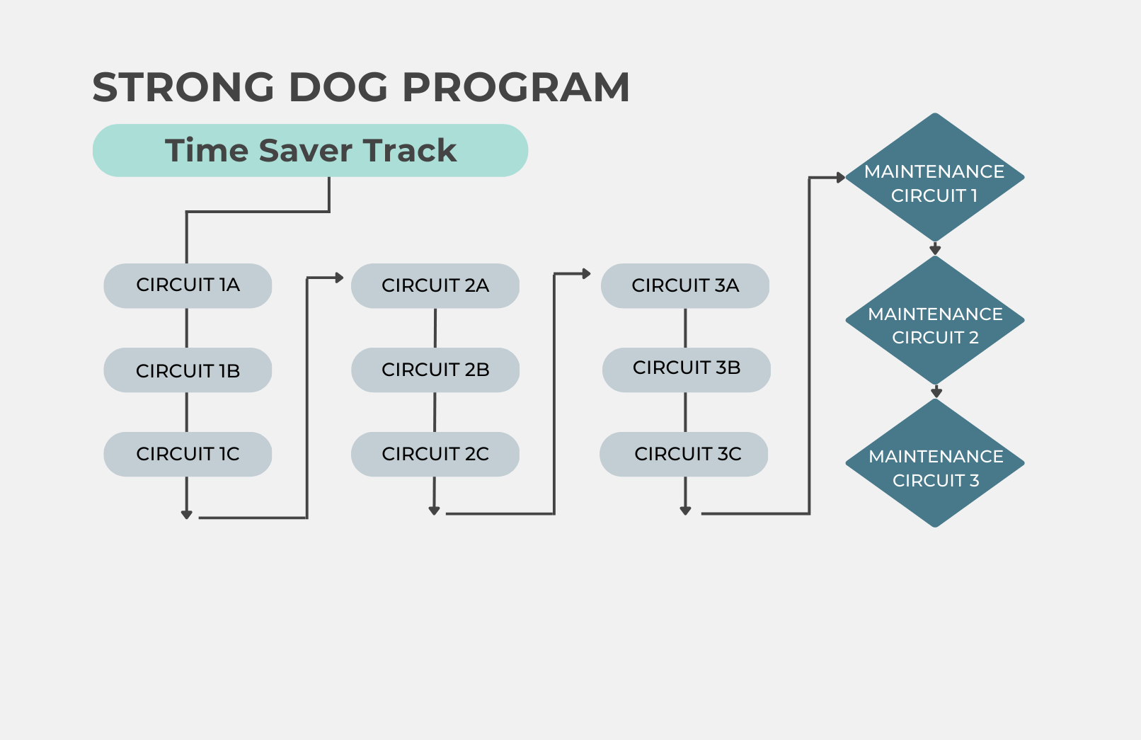 Map showing the circuit progression through the Post TPLO Mini-Program