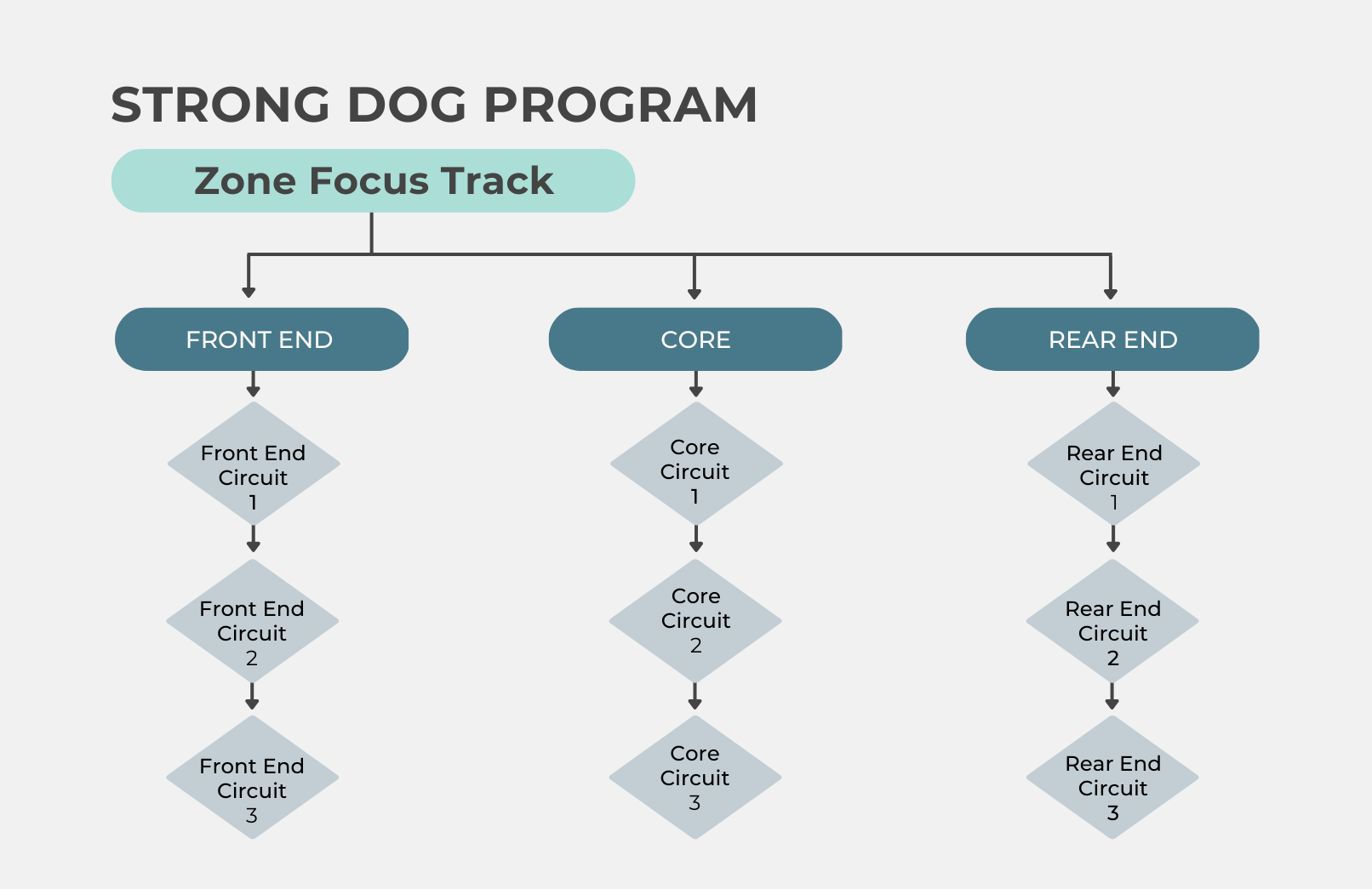 Map showing the circuit progression through the Post TPLO Mini-Program