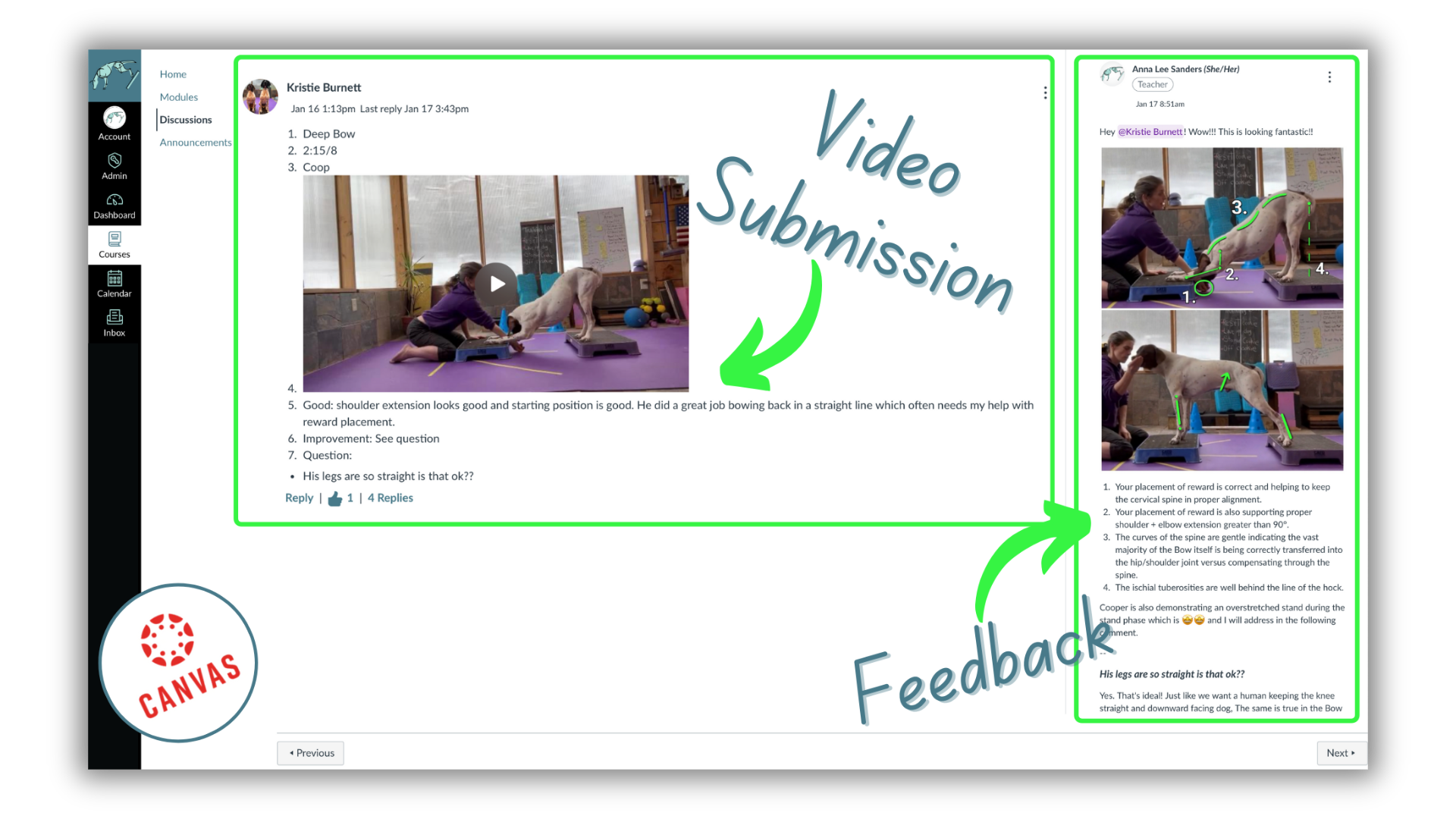 Canine Conditioning Classroom Submission and feedback example