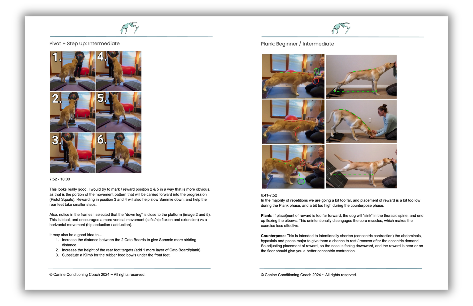 Image of the PDF feedback included in the Video Review Consult for Canine Conditioning Coach.