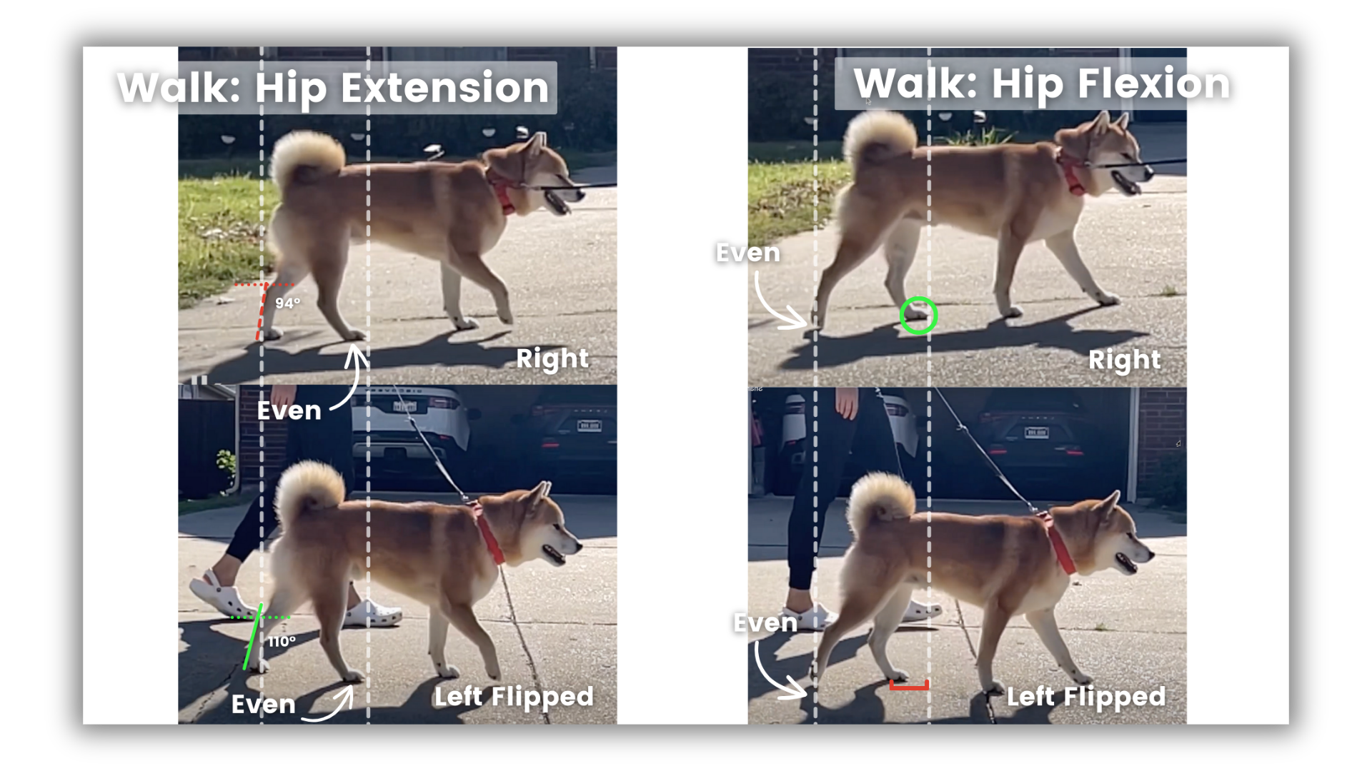 Gait analysis images showing the walk shot form the side.