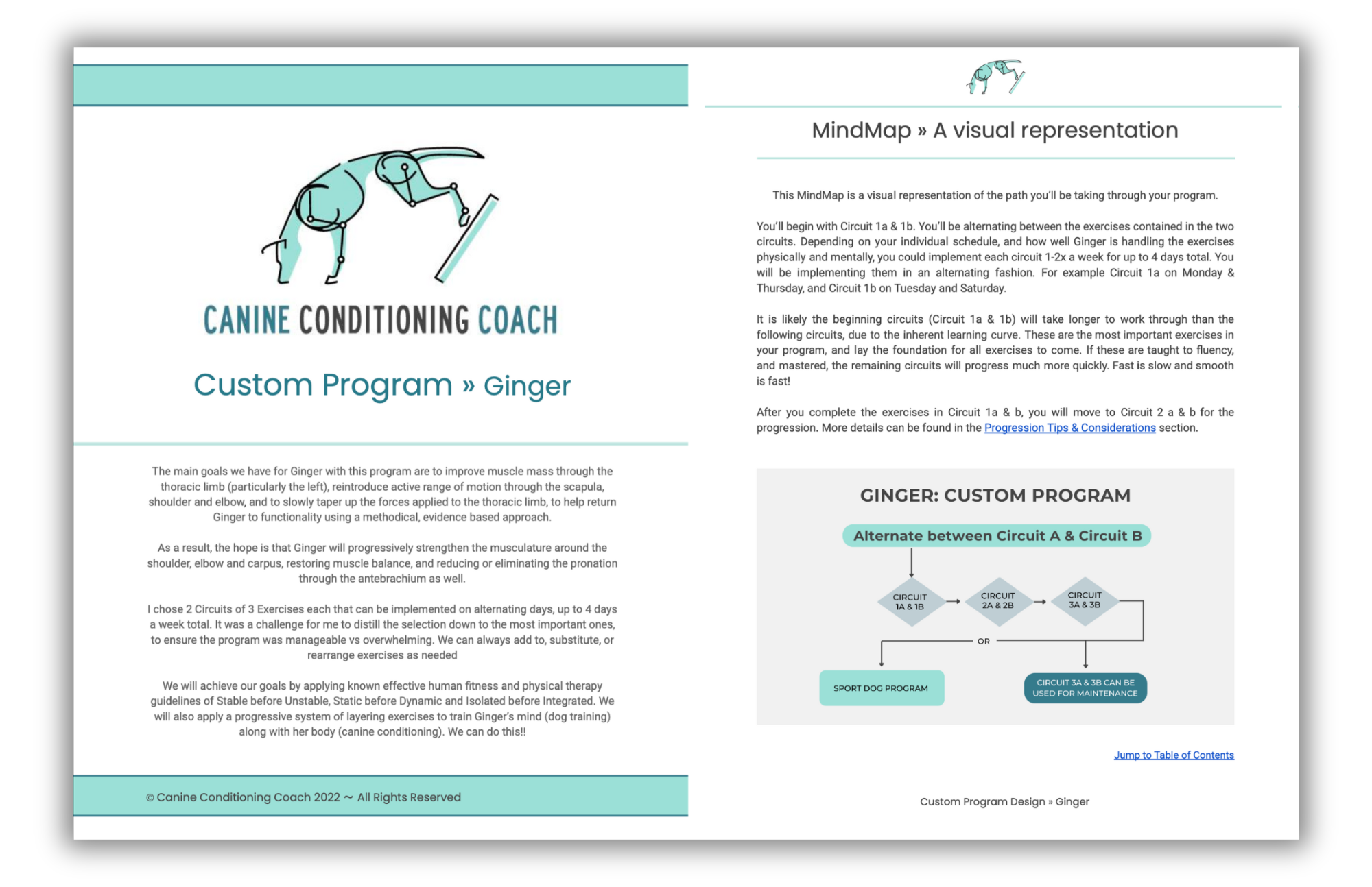 Image showing pages from a Custom Program by Canine Conditioning Coach