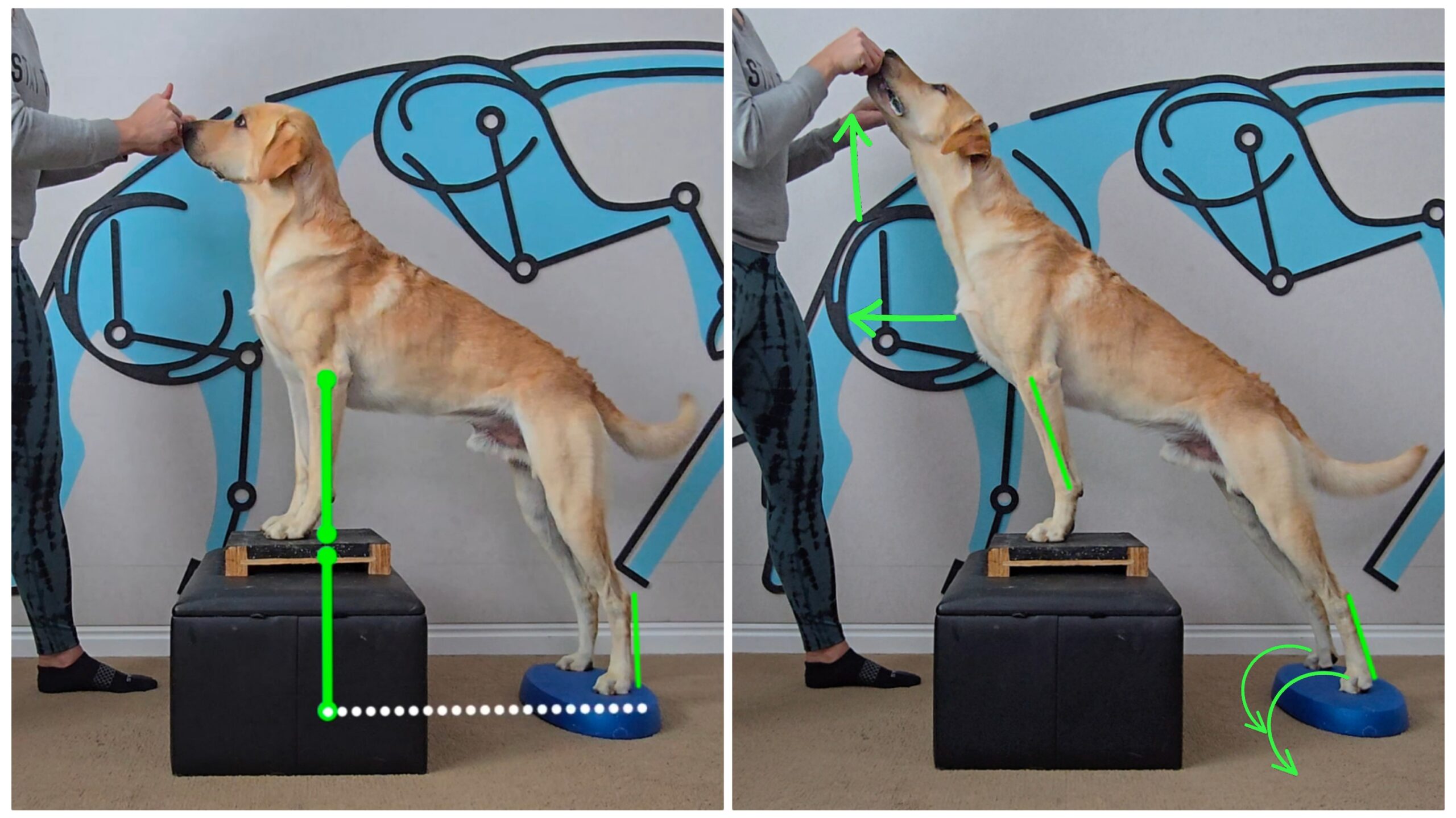 Metatarsal Stand: Intermediate level progression for rear foot strengthening.