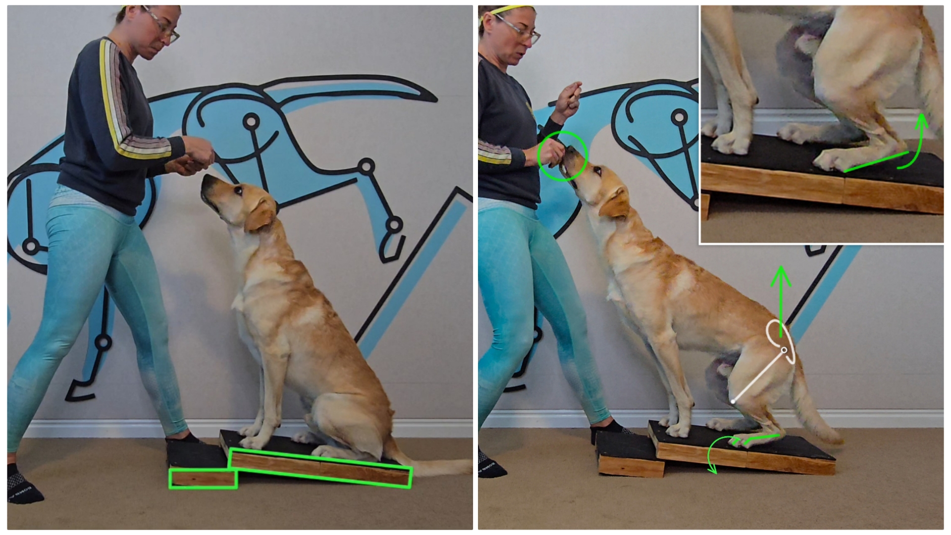 Quarter Sit - Rear Focus: Strengthening exercise for rear feet
