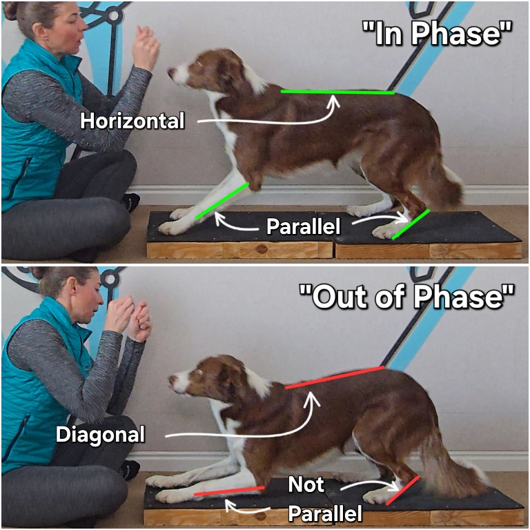 Fold Back Down "In Phase" vs "Out of Phase"
